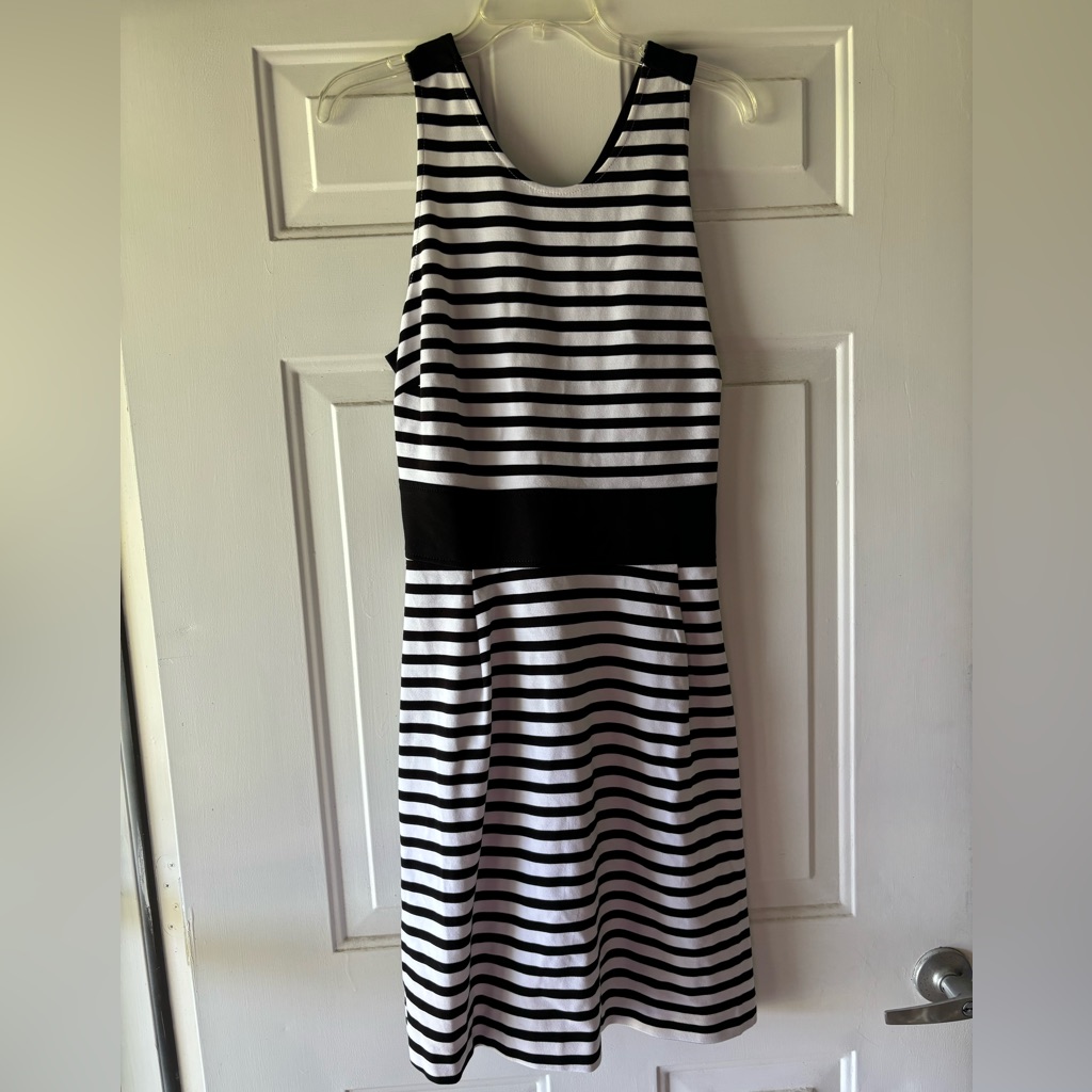 Brand New Banana Republic Black And White Striped Dress